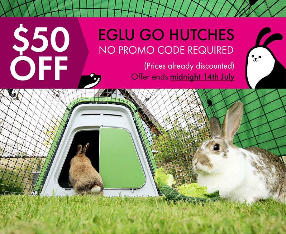 eglu-hutch-50-dollars-off-banner-varients_blog_7fcd037b