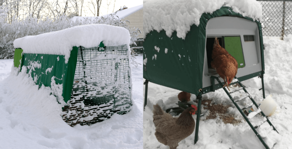 Collage of Omlet Eglu chicken coops covered in snow