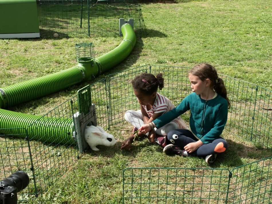 Children outside with their rabbit in Omlet Zippi Tunnel System