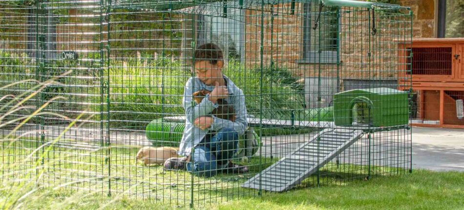 Girl in Omlet Outdoor Run holding guinea pig