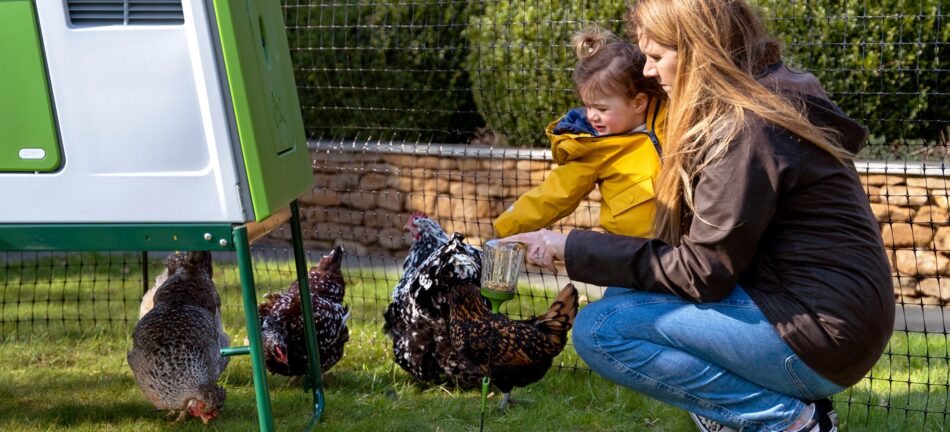 Girl with mother playing with chickens outside the Omlet Eglu Cube chicken coop