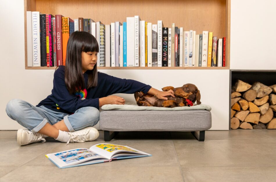 Girl rubbing dog's belly on the Topology Dog Bed