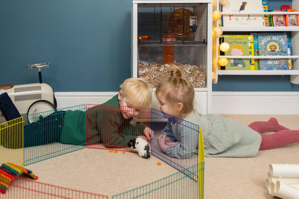 Two children watching hamster in their playpen, Omlet Qute hamster cage behind them