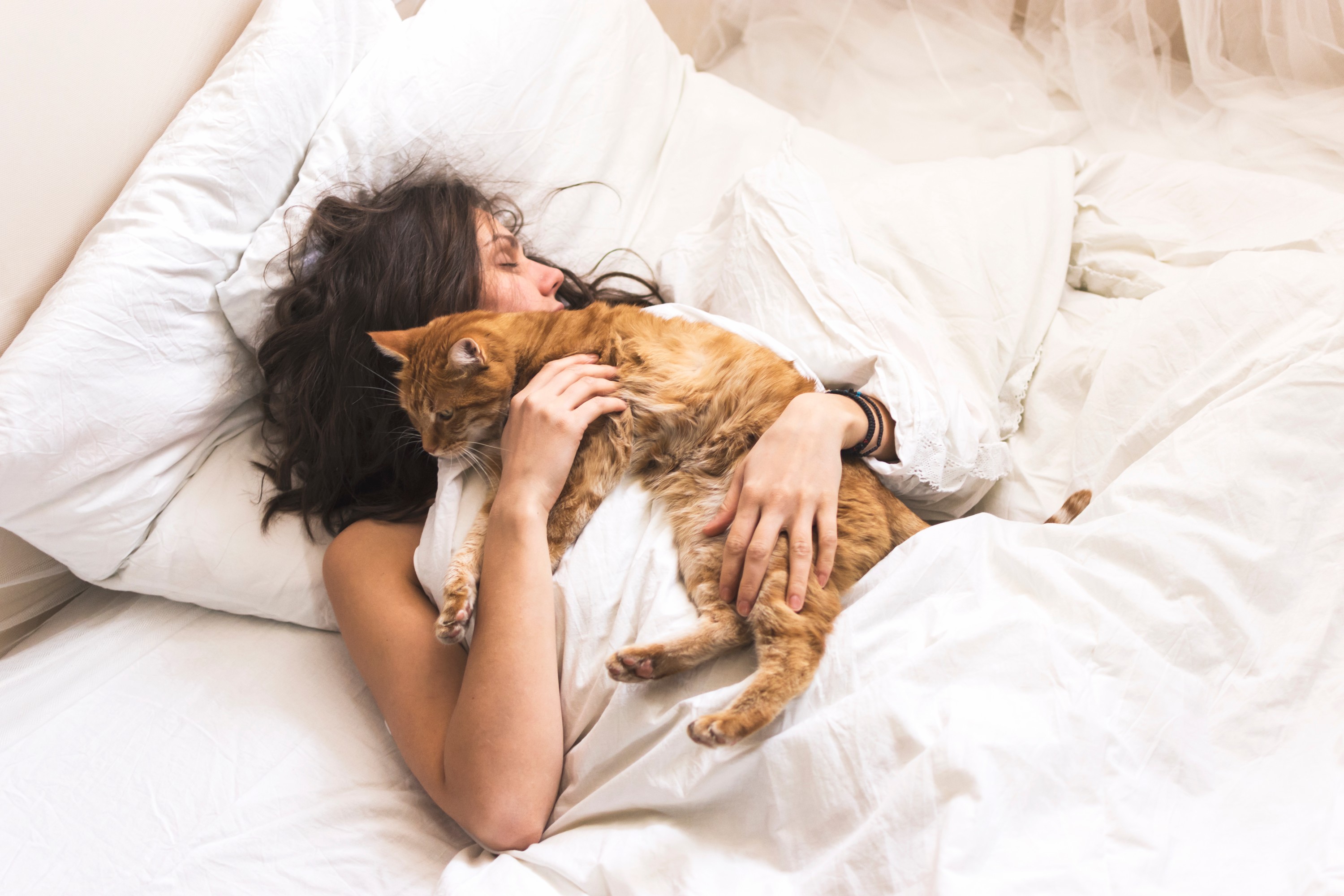 Does your cat affect your sleep? Omlet Blog US