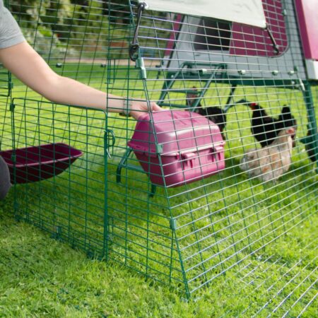 Chicken keeper feeding their flock with Eglu Chicken Feeder into their Omlet Eglu Go Chicken Coop