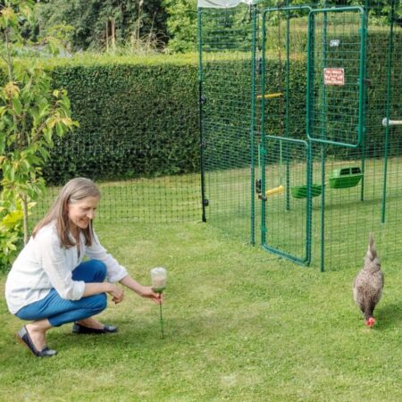 Chicken keeper with Omlet chicken Peck Toy interacting with chickens outside of their Walk in Chicken Run