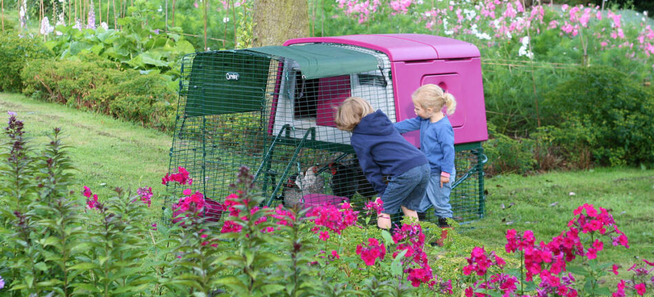 Twee kinderen kijken in een paars Omlet Eglu Cube kippenhok