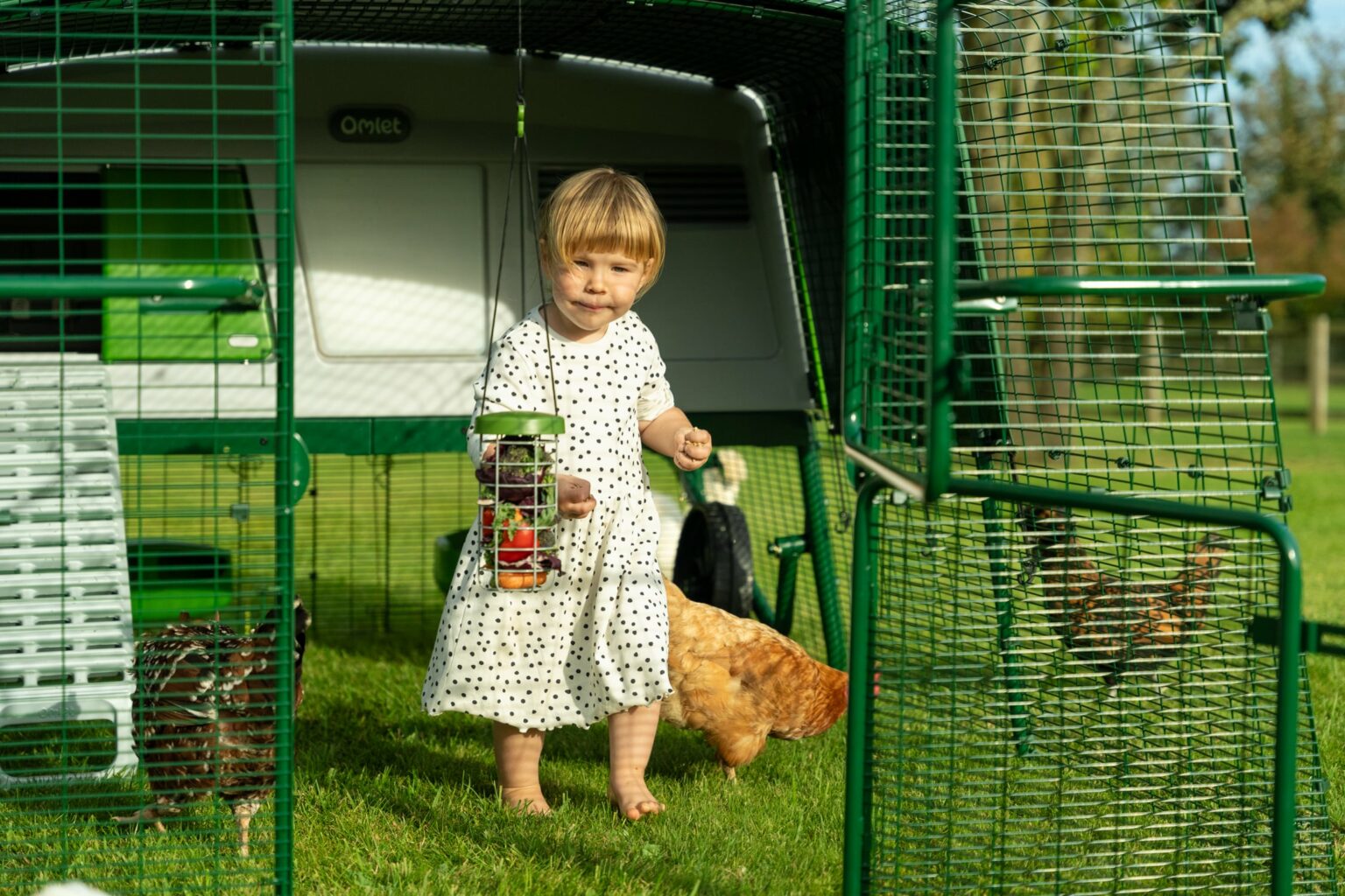 How to keep rats away from your chicken coop Omlet Blog US