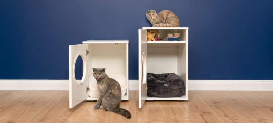 Two cats in their Maya Indoor Cat Houses