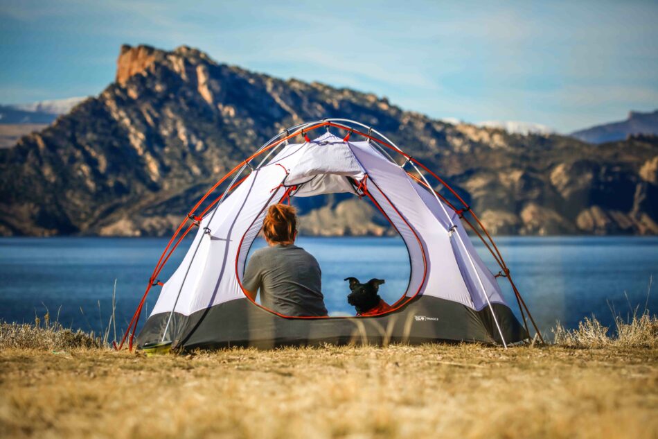 Dog and owner camping with backdrop of mountains
