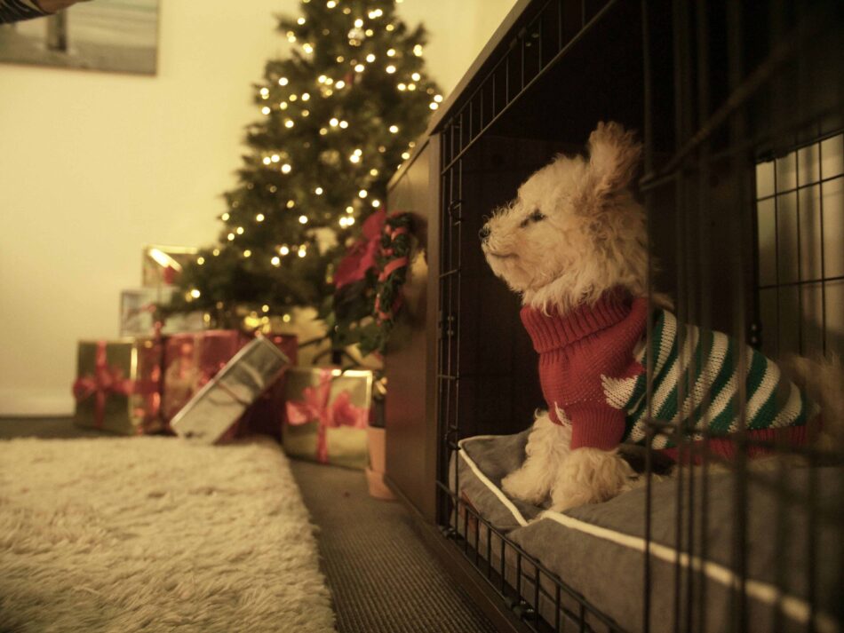 A puppy sat in a brown Fido crate with a Christmas tree in the background
