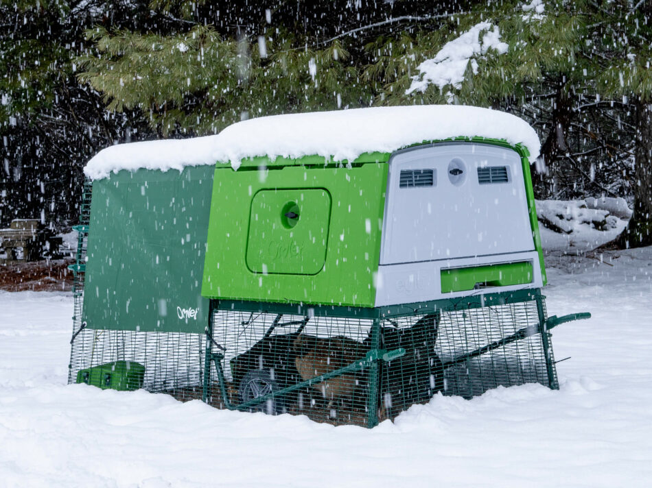 Eglu Cube chicken coop in the snow