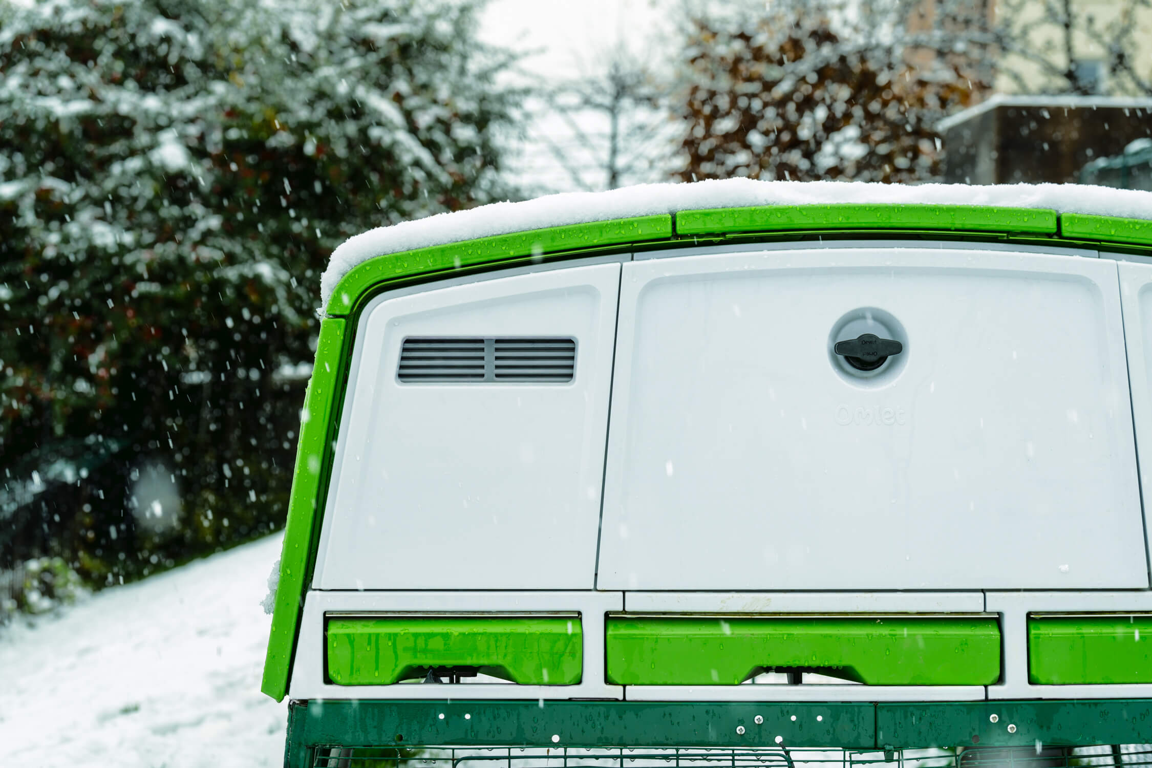 Eglu-Pro-in-the-snow