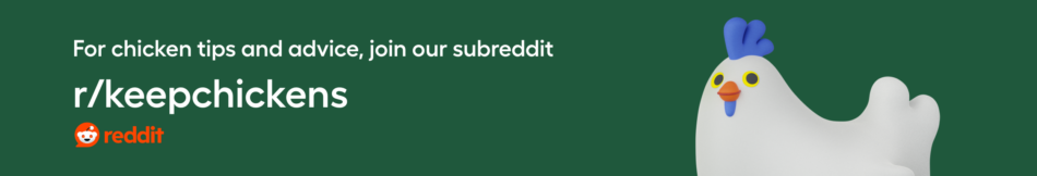For chicken tips and advice follow our subreddit r/keepchickens