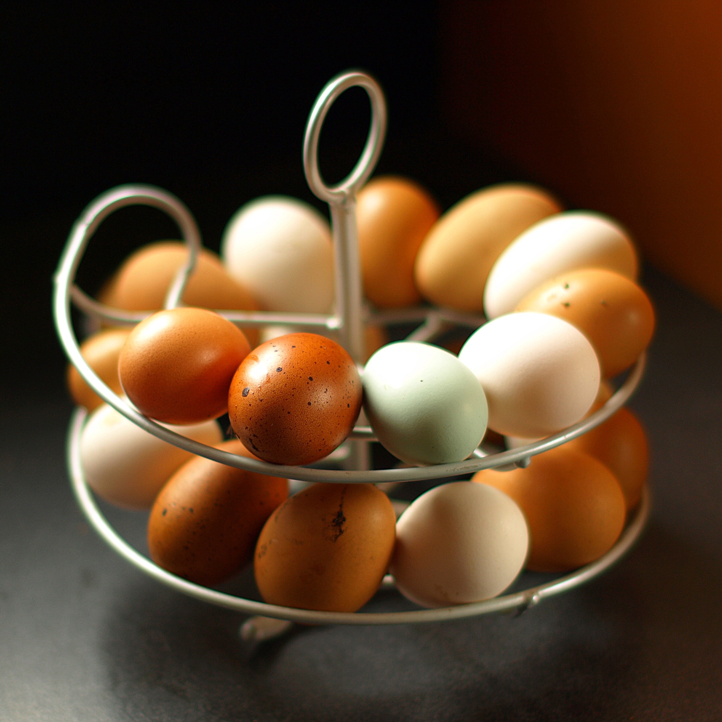 Why Are Chicken Eggs Different Colors? Omlet Blog US