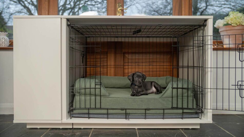puppy in fido nook crate with green bolster dog bed