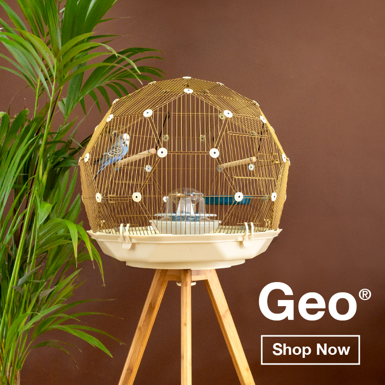 Omlet Launch the Geo Bird Cage! Omlet Blog US
