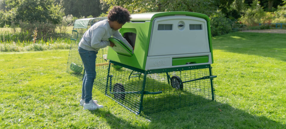 Jongen verzamelt in de zomer eieren uit Omlet Eglu Cube kippenhok