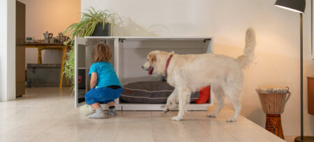 Golden Retriever and boy with Omlet Fido Studio dog crate