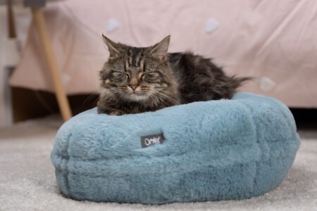 Brown cat sleeping on Maya Donut Cat Bed