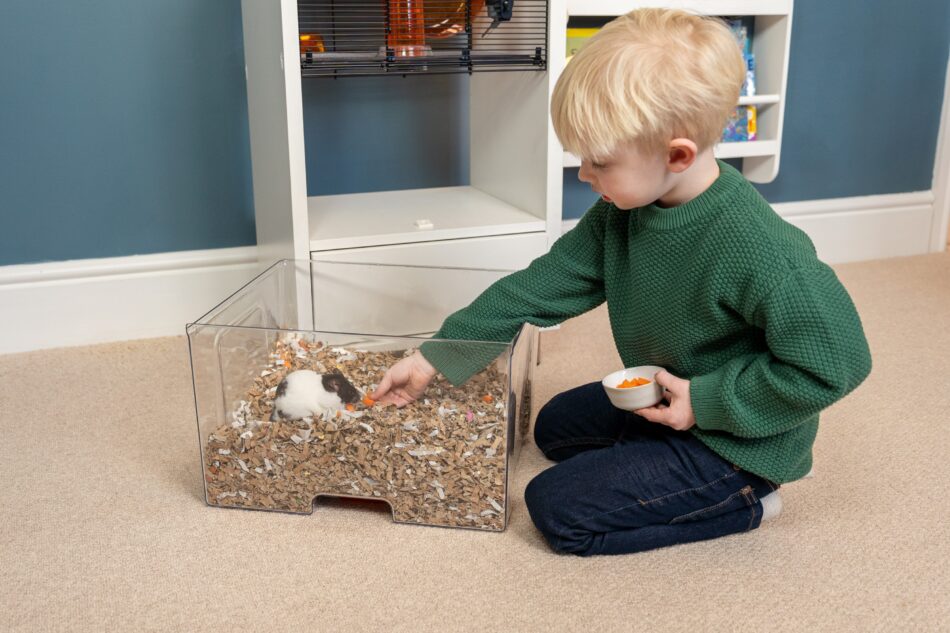 Boy handing hamster, Omlet Qute Hamster and Gerbil Cage