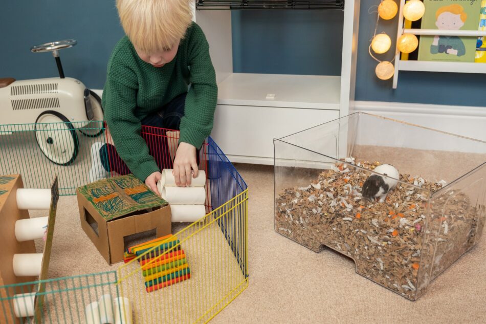 Dreng leger med sin hamster i Qute-hamsterburs bundmaterialebakke