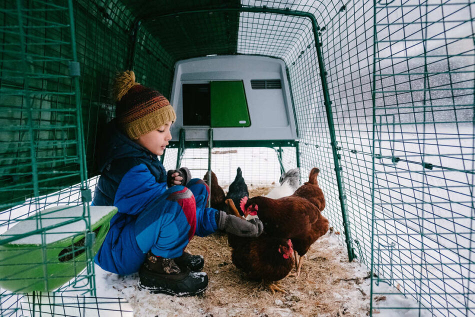 a boy sat in an eglu chicken enclosure in the snow