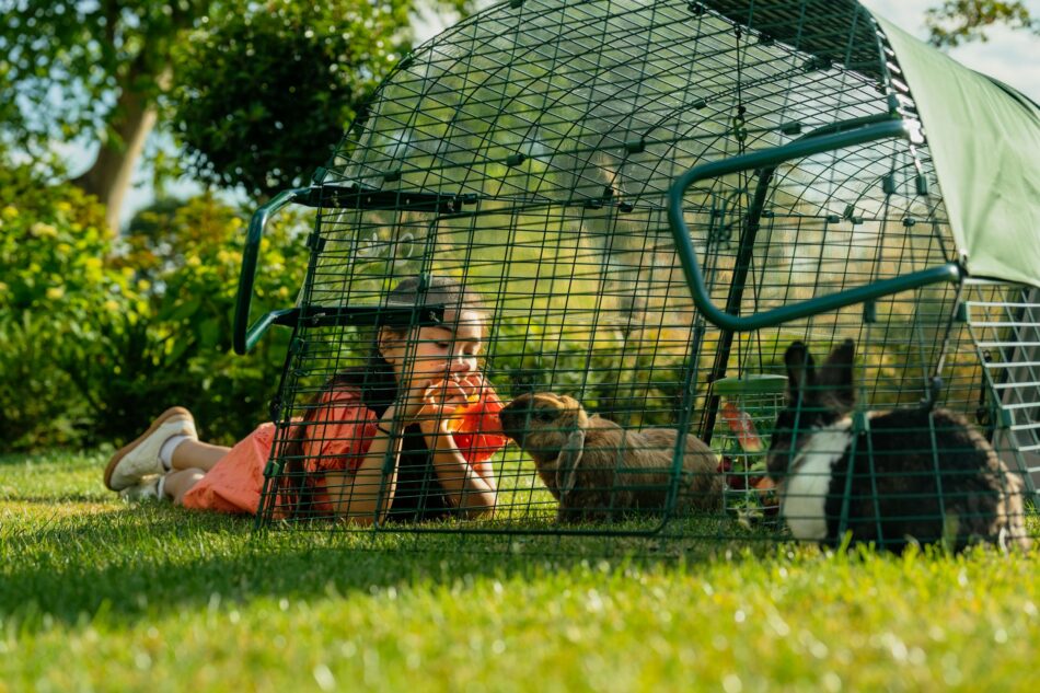 Girl feeding rabbit fruit through the Omlet Eglu Go Rabbit Hutch