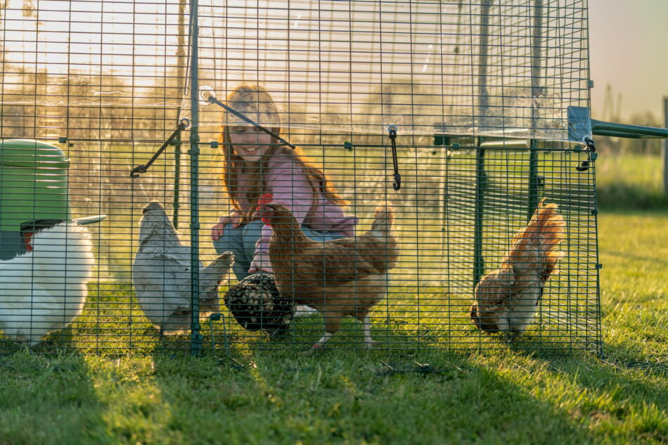 girl sitting with chickens in eglu pro chicken coop run
