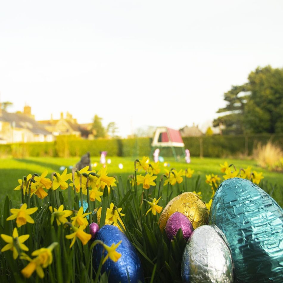 Easter eggs in daffodils in front of Omlet Eglu Go Up Raised Chicken Coop