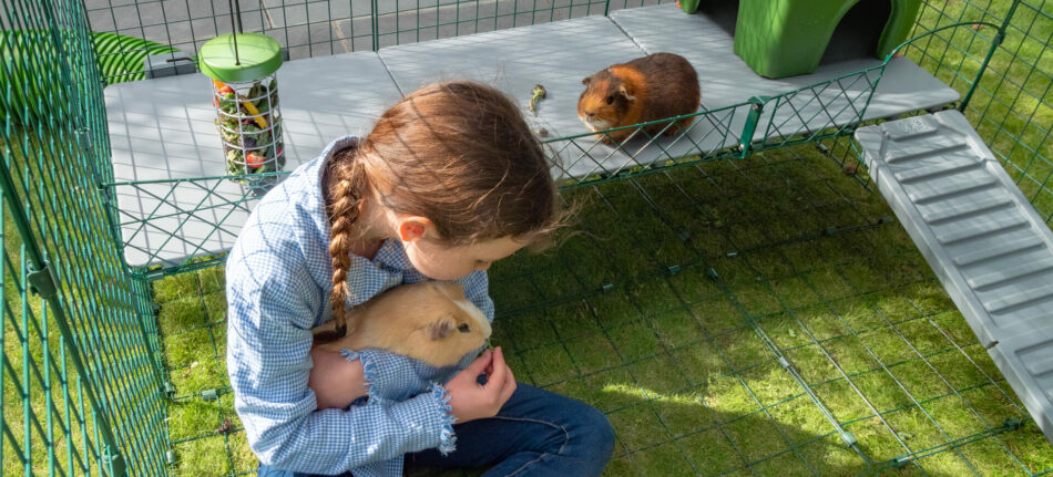 Girl cuddling a guinea pig in the Zippi playpen