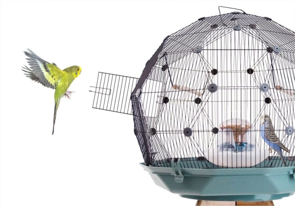 Yellow bird flying into Omlet Geo Bird Cage