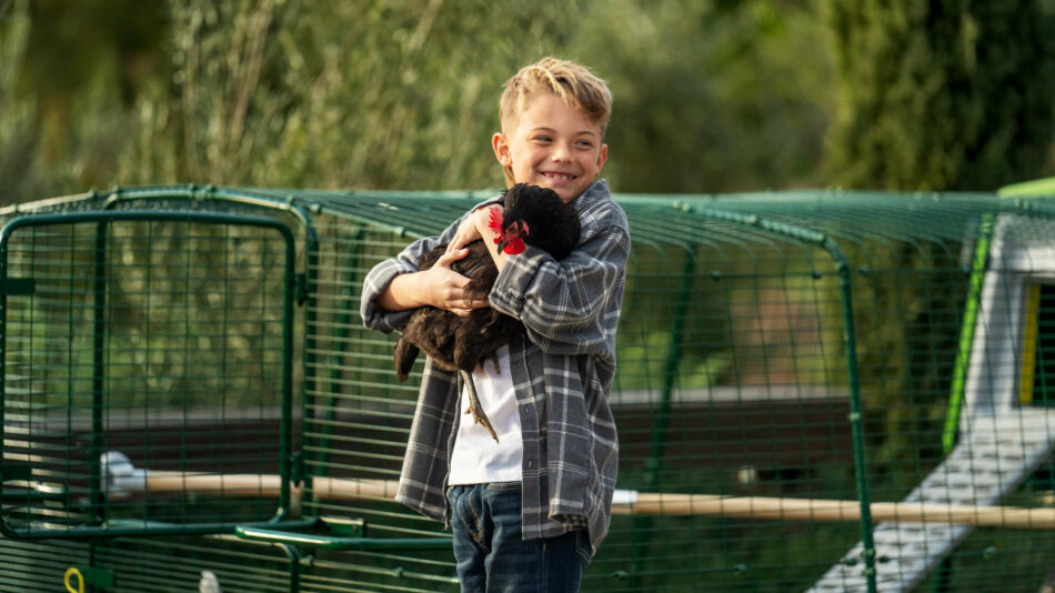 Little boy holding chicken next to the Omlet Eglu Pro