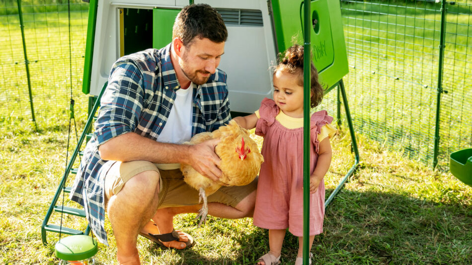 Man holding a chicken inside the Omlet Walk In Run whilst girl pets the chicken