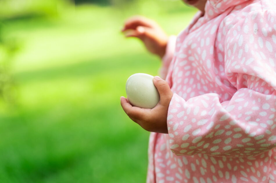 little girl holding a white chicken egg