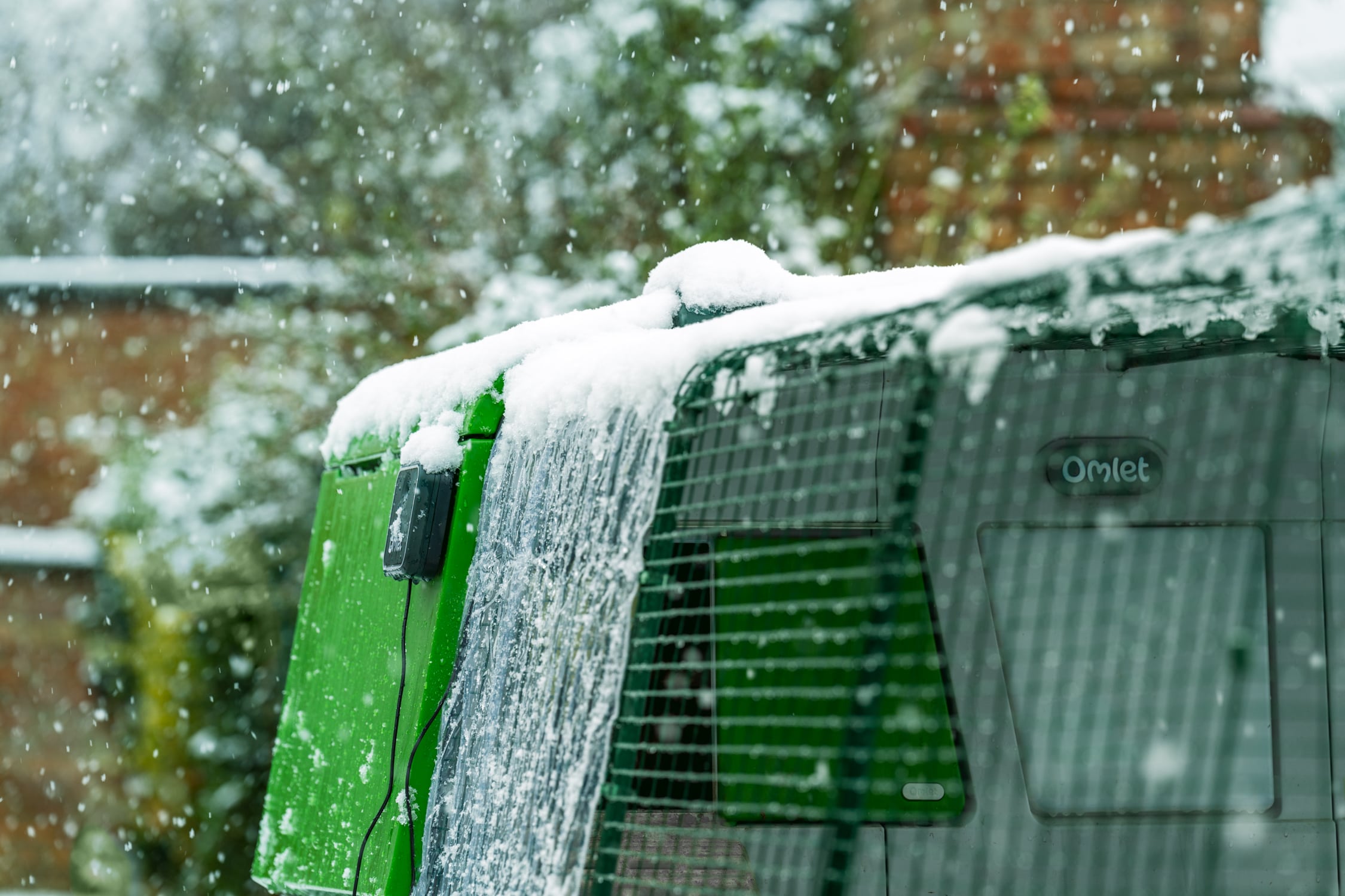 eglu pro in snow in garden with cover