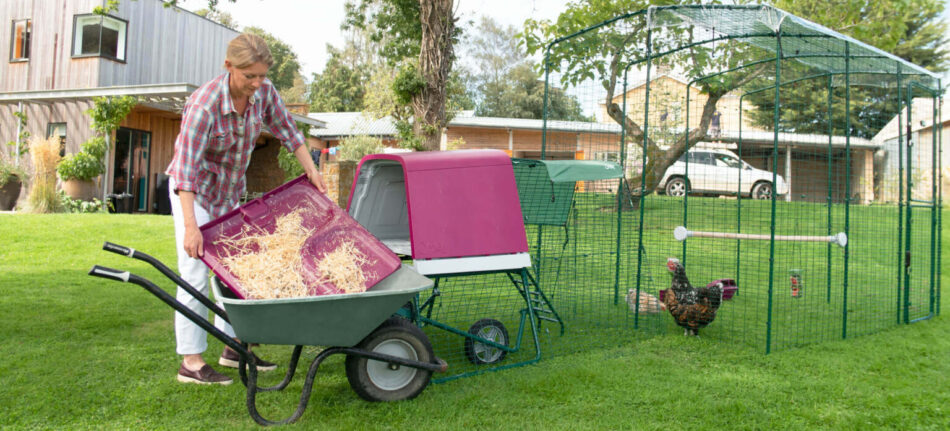 Woman cleaning Eglu Go Up Raised Chicken Coop