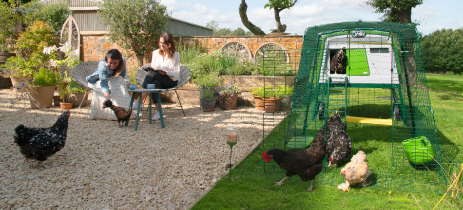 Women having tea with their chickens by the large Omlet Eglu Cube chicken coop in the sun