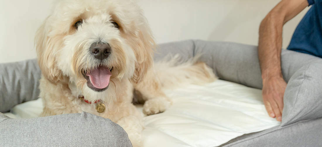 dog-memory-foam-cooling-mat-bed