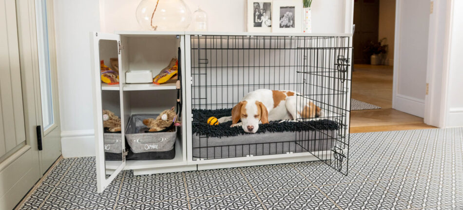 Essentials 2024 dog crate