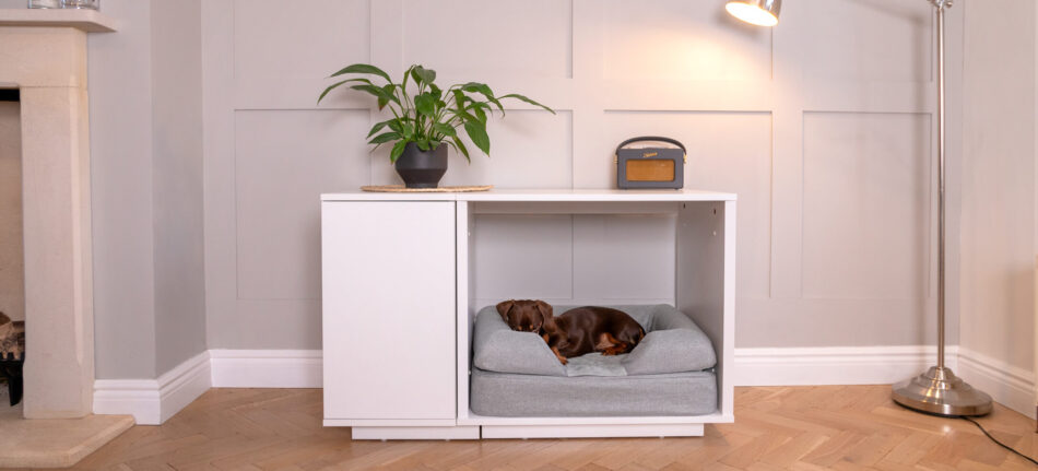 Dachshund resting in Omlet Fido Nook 2 in 1 Luxury Dog Bed and Crate