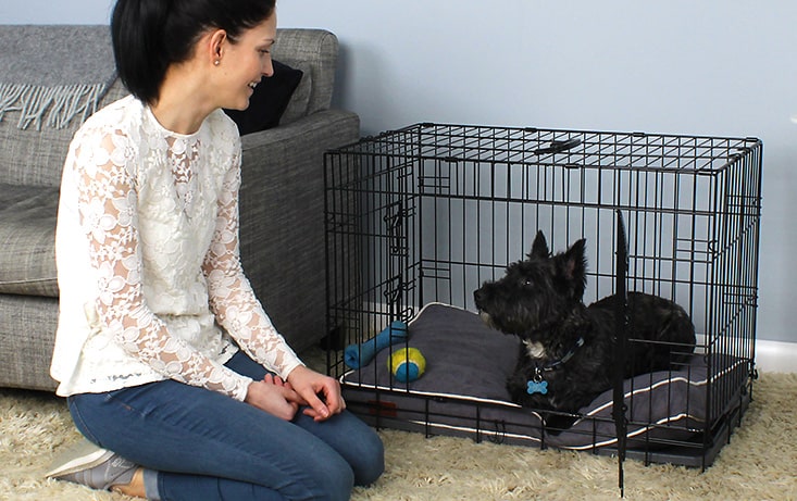 Black dog in Fido Classic Dog Crate - owner smiling at dog