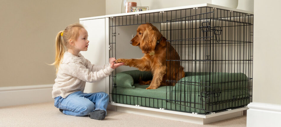 En flicka håller en hunds tass som sitter i Fido Studio hundbur från Omlet