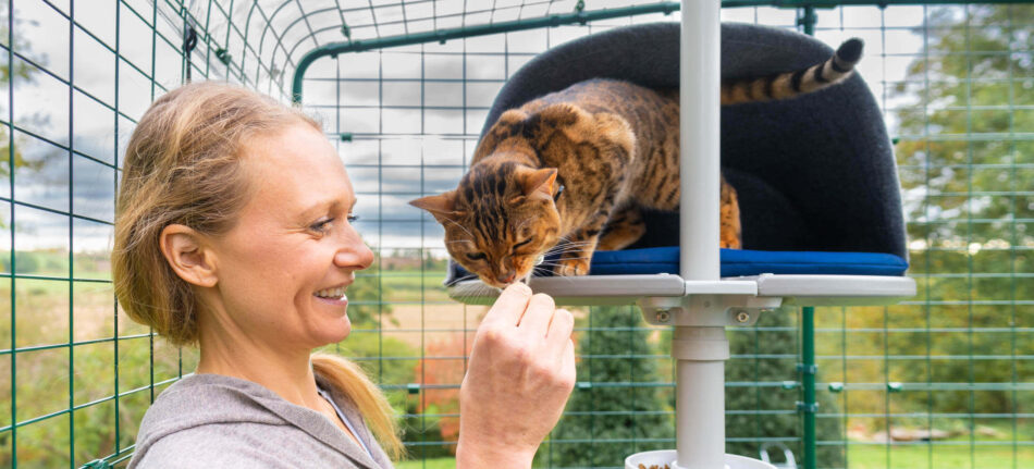 Chat et son propriétaire qui interagissent – chat qui utilise l’arbre à chat d’extérieur Freestyle d’Omlet dans le Grand Enclos d’Omlet