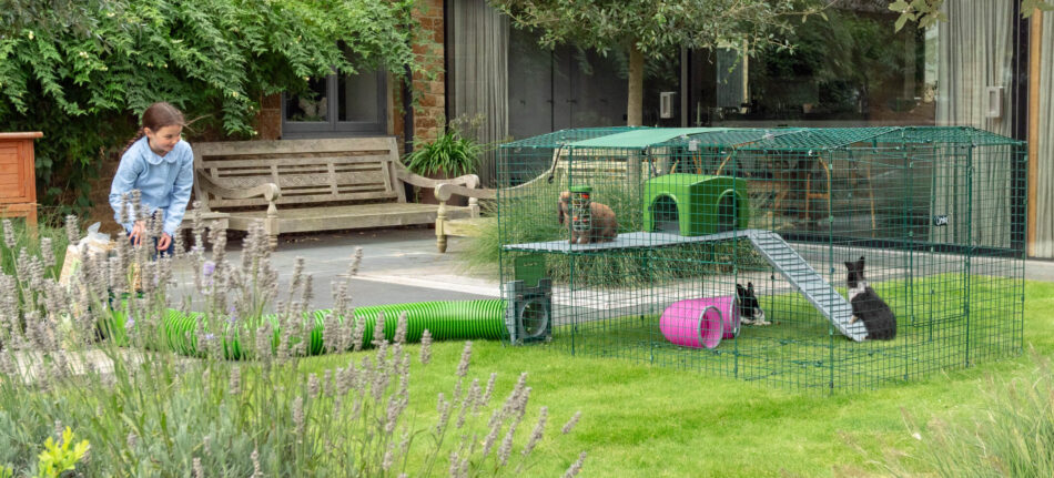 Girl outside in garden with rabbits using Omlet Zippi Rabbit Run Platform