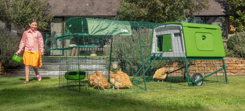 Meisje wandelt rond Omlet Eglu Cube kippenhok met kippen