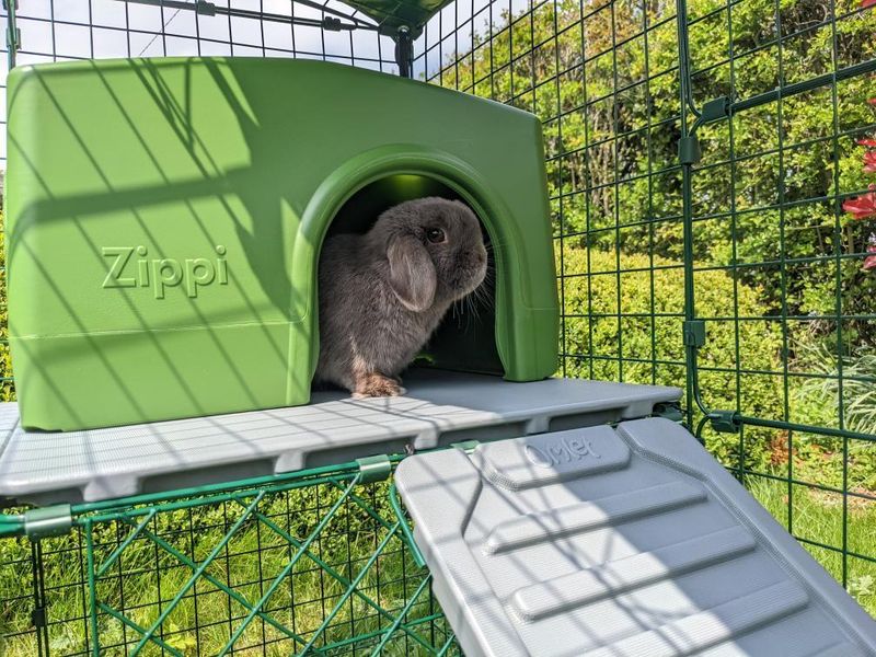 Konijn in groen Zippi schuilhuisje op Omlet vide voor konijnen