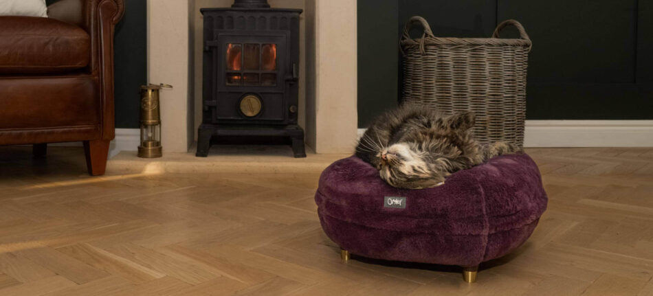 Cat relaxing in cozy house on Omlet Maya Donut Cat Bed - Fig Purple