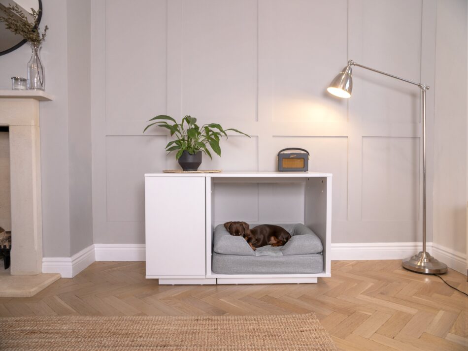 Dachshund asleep in Omlet Fido Nook Dog Crate