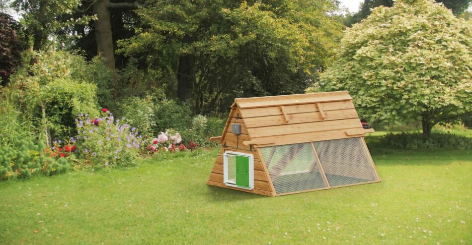 Omlet Automatic Chicken Coop Door on wooden Boughton chicken coop